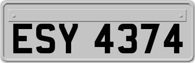 ESY4374