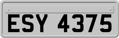 ESY4375