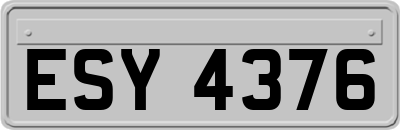 ESY4376