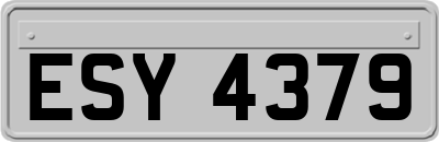 ESY4379
