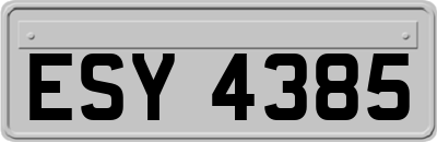 ESY4385
