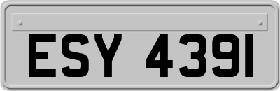 ESY4391