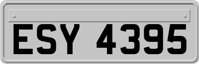 ESY4395