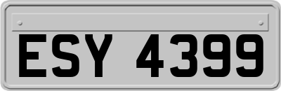 ESY4399