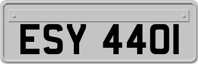 ESY4401