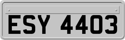 ESY4403