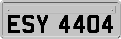 ESY4404