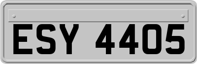 ESY4405