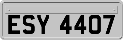 ESY4407