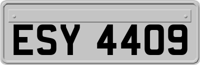 ESY4409