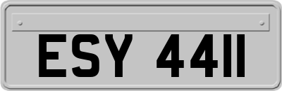 ESY4411