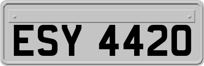 ESY4420