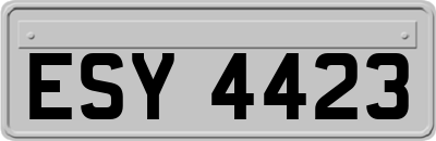 ESY4423