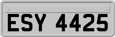 ESY4425