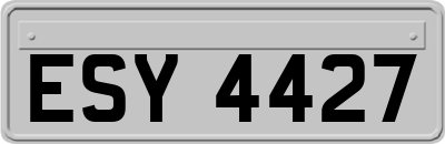 ESY4427