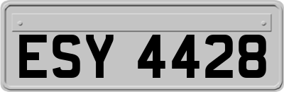 ESY4428