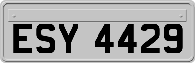 ESY4429