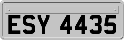 ESY4435