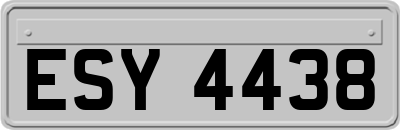 ESY4438
