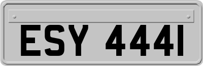 ESY4441