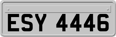 ESY4446
