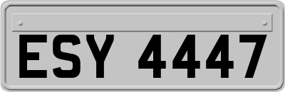 ESY4447