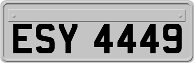 ESY4449