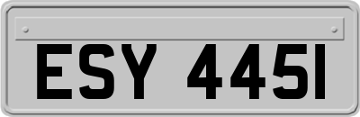ESY4451