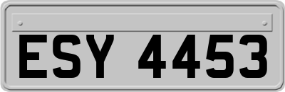ESY4453