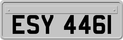 ESY4461