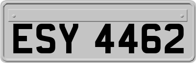 ESY4462