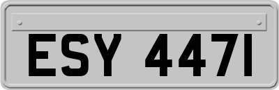 ESY4471
