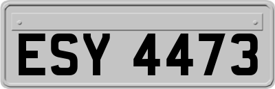 ESY4473