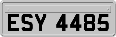ESY4485