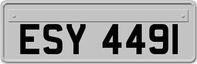 ESY4491