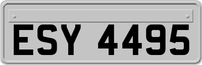 ESY4495