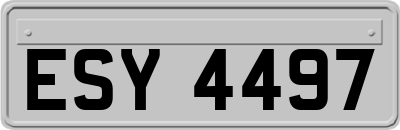 ESY4497