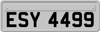 ESY4499