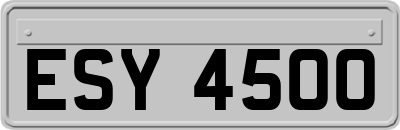 ESY4500