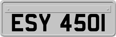 ESY4501