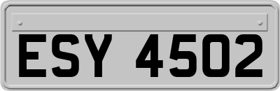 ESY4502