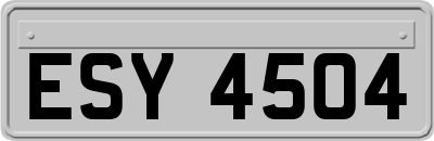 ESY4504
