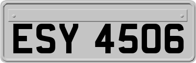 ESY4506