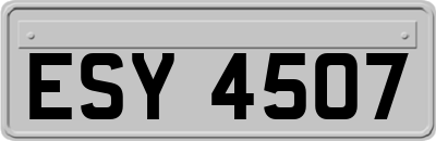 ESY4507