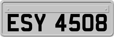 ESY4508