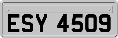 ESY4509