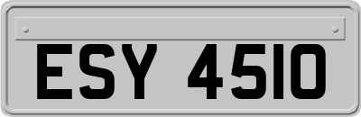 ESY4510