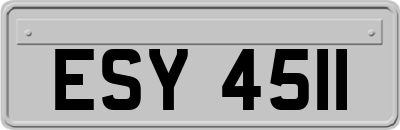 ESY4511