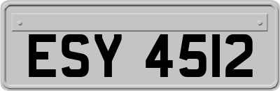 ESY4512