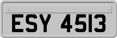 ESY4513